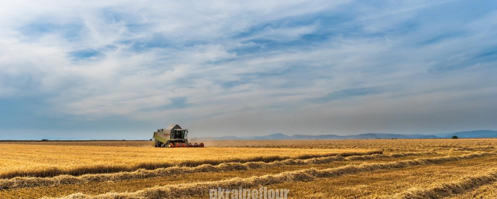 field-1447690