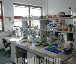ukraineflour